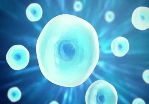 6个月戒母乳利弊有哪些？戒奶这些事项不注意可能会出现问题