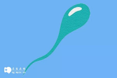 4细胞胚胎先别养囊，看看胚胎质量再做决定