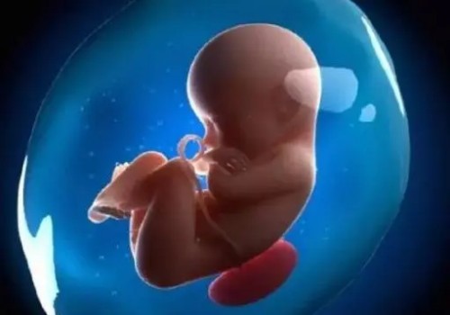 深圳试管助孕价格：同房5到6天，肚子胀气可能是怀孕前的征兆！