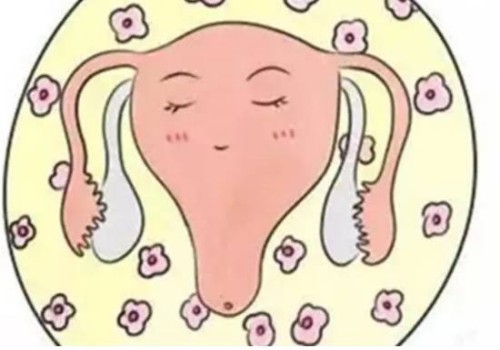备孕需要提前几个月准备,夫妻双方最好各自检查身体